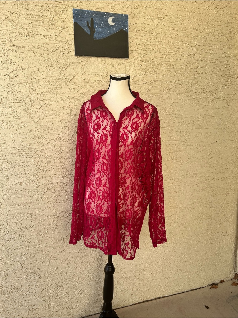 Vintage Women's Sheer Lace Button-Down Top